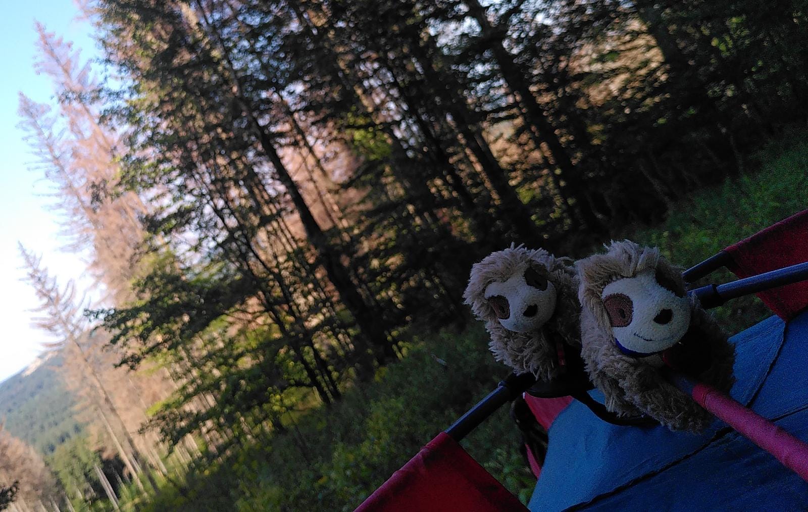 Eliza & Marty auf dem Zelt