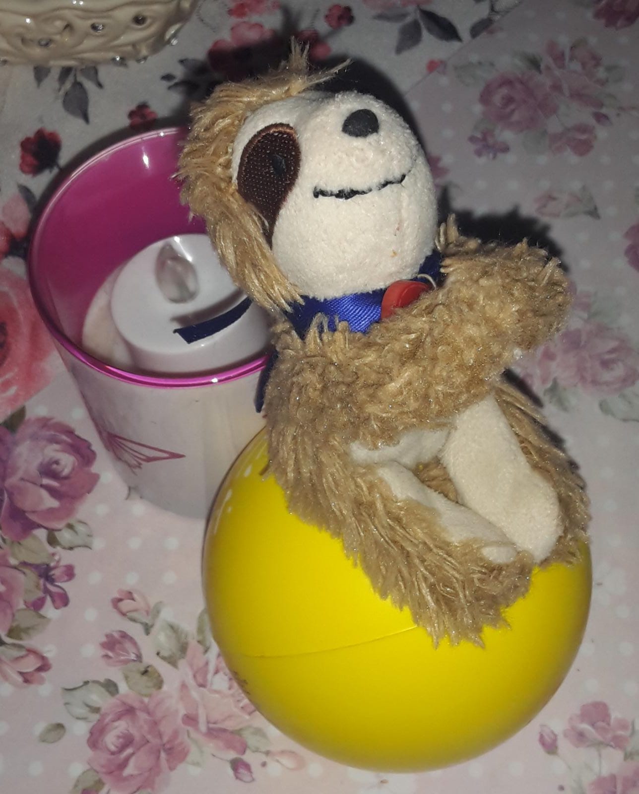Marty balanciert auf einem Ball
