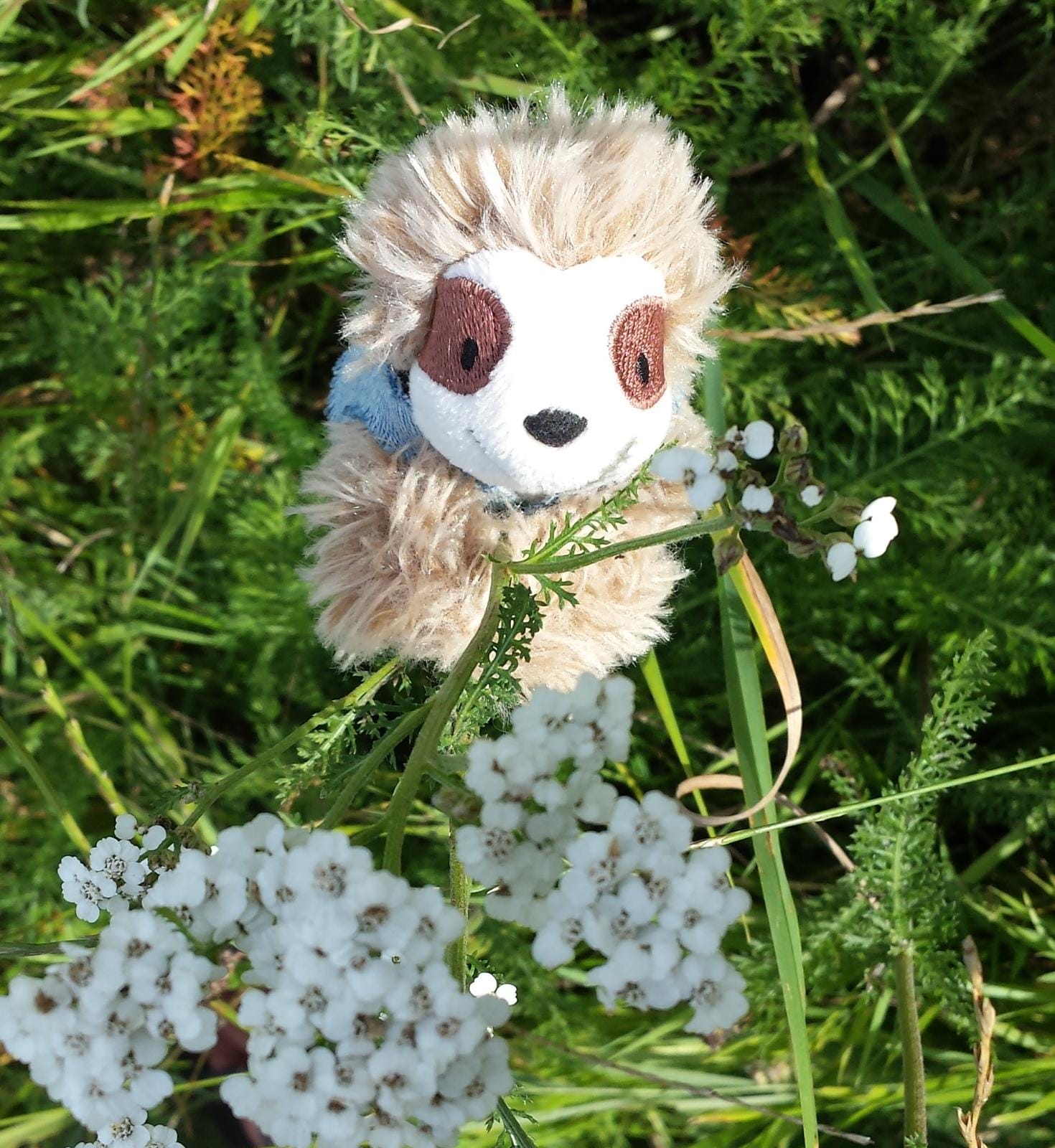 Elvis in der Blumenwiese
