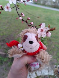 Eliza mit einem Mirabellenblüten-Zweig