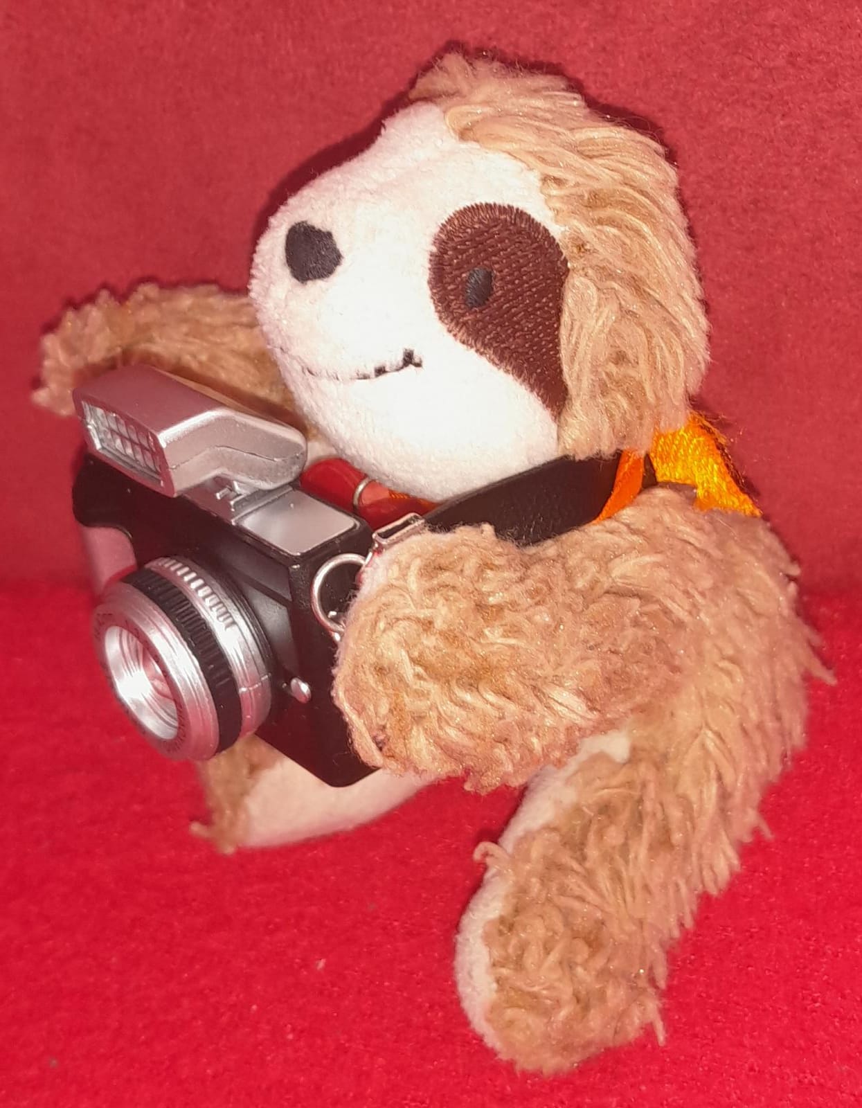 Marty mit Fotoapparat