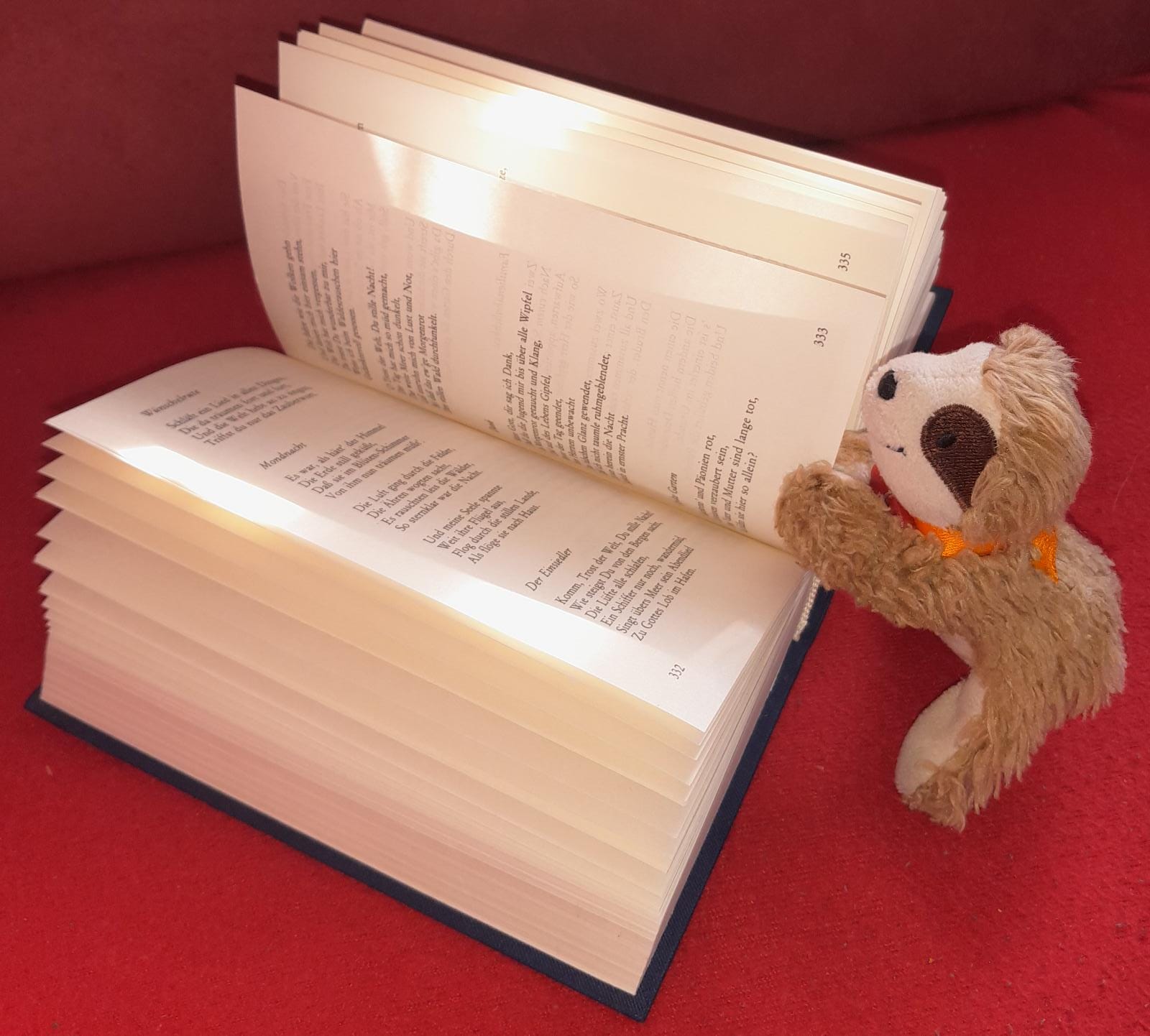 Marty liest ein Buch