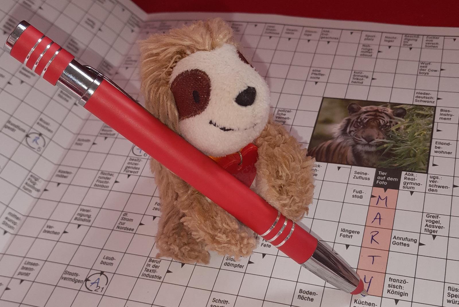 Marty mit Stift auf Kreuzworträtsel