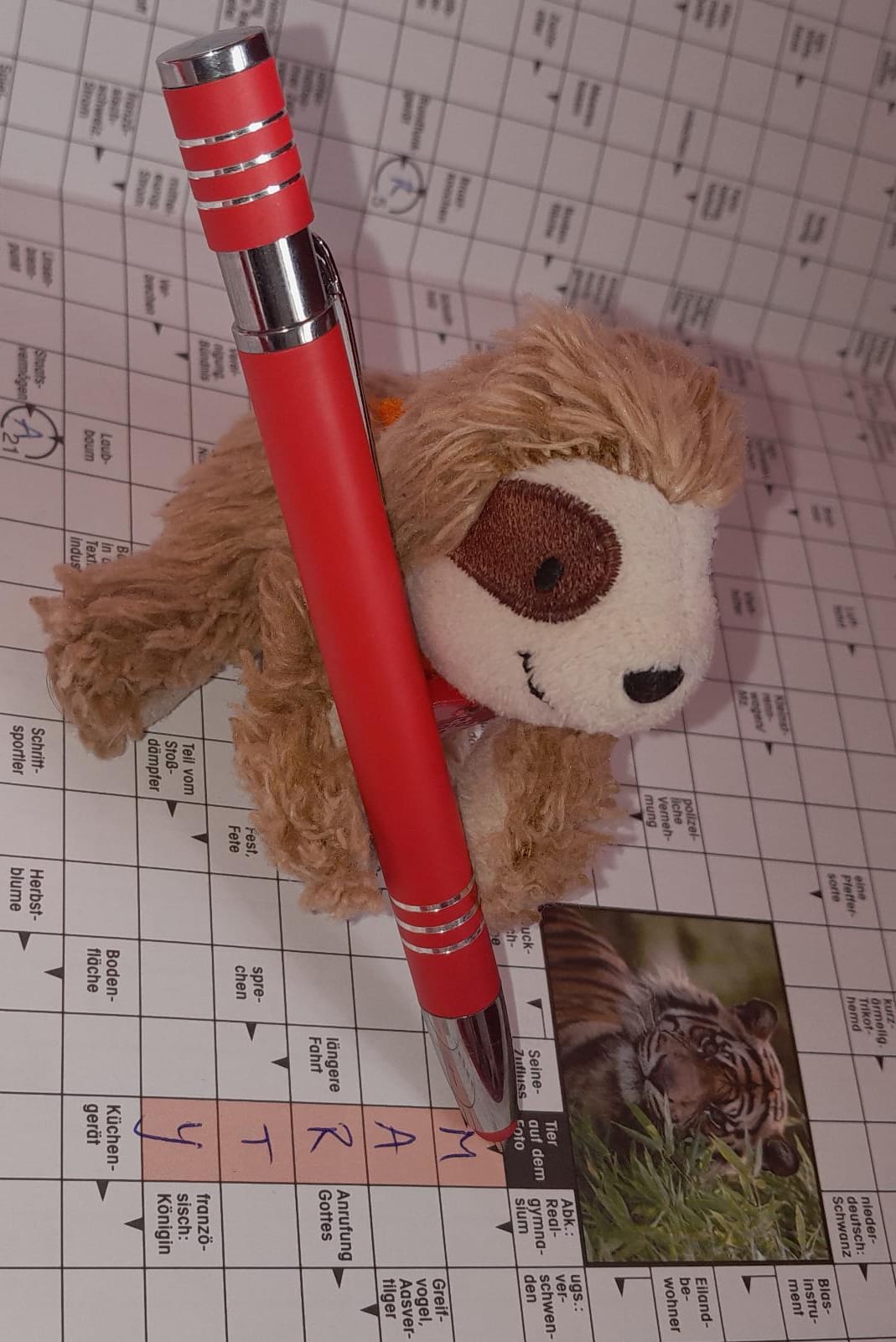 Marty mit Stift auf Kreuzworträtsel