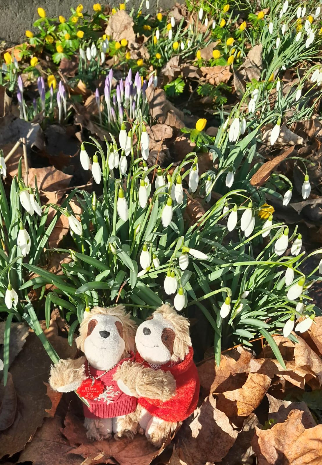 Eliza & Marty mit Schneeglöckchen