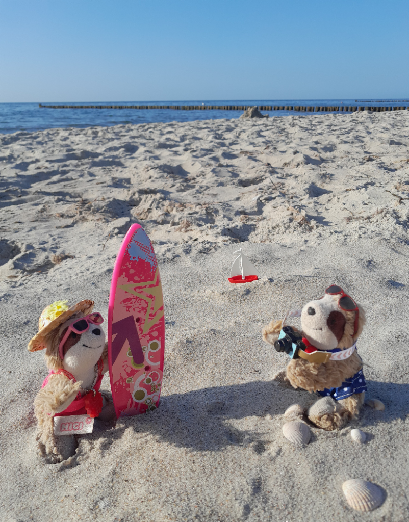 Marty fotografiert Eliza mit Surfbrett