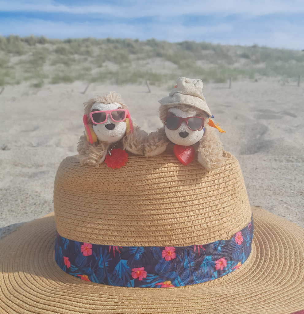 Eliza & Marty auf Sonnenhut