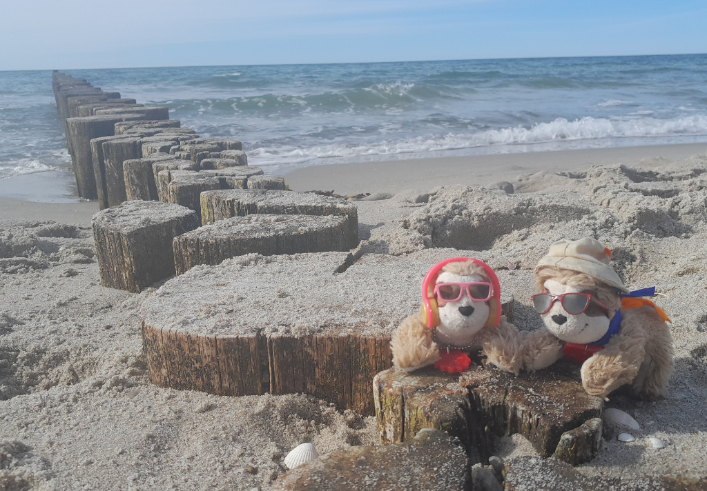 Eliza & Marty auf Wellenbrecher