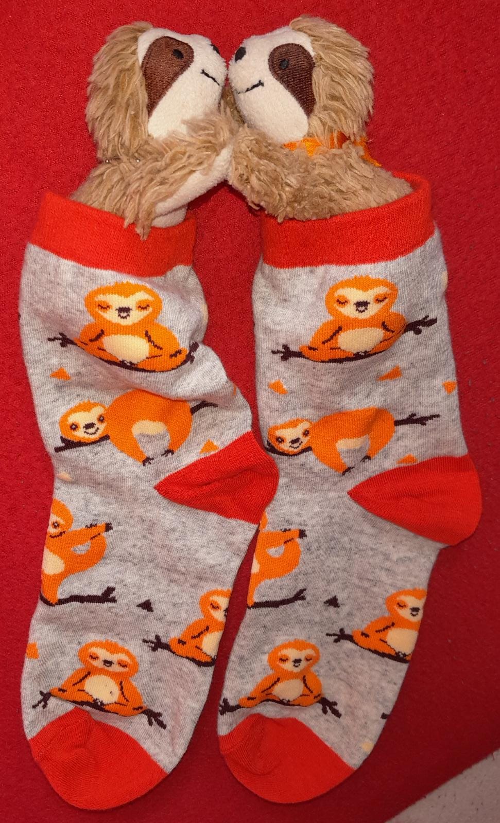 Eliza & Marty kuscheln in Socken mit Faultier-Motiv